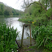 Dunkirk Pond
